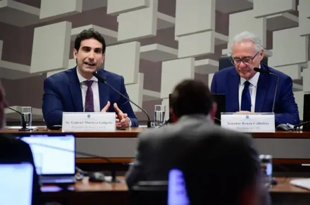 Gabriel Galípolo e senador Renan Calheiros durante audiência pública na Comissão de Assuntos Econômicos do Senado Federal